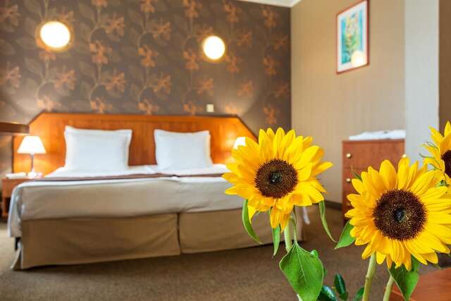Отель Park Hotel Olymp & SPA Велинград-27